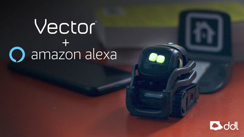 Vector Robot by Anki, A Home Robot Who Hangs Out & Helps Out For facial  recognition, With  Alexa Built-In For 5-99 Years : Toys & Games 